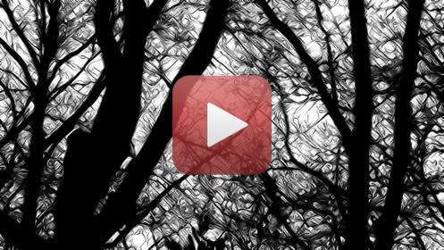 VENTréalisation : Claude JeanmartMusique : Hélène Sage03 - 2020FILMS DES CONFINSPendant la période de confinement (virus Covid -19 ), impossible de continuer les APSARAS et le dessin en aveugle.Envie d’utiliser toutes les ressources autour de moi, dans la maison, dans le jardin, dans les environs immédiats autorisés, en utilisant la vidéo, à défaut d’autres possibilités. Ce seront donc 20  films de 6 minutes avec des musiques composées spécialement, réalisés entre décembre 2019 et juillet 2020. Un seul thème à la fois traité » picturalement » : pas de scénario écrit, pas de croquis, mais l’œil aux aguets, prises de vues au fur et à mesure de l’émergence des idées, montage direct, et retour fréquent à de nouvelles prises de vue. Multiples versions pour parvenir au résultat final, transmis aux musiciens, qui ont travaillé de la même façon. Sur le site impossible de présenter la totalité des films ni chacun dans son entière durée. Ce sont donc à chaque fois, des réductions à 3 minutes environ.A plusieurs reprises je me suis heurté aux limites de la puissance de mes ordinateurs, j’ai donc renoncé à certains effets pour en inventer d’autres.Ce travail a été très enrichissant, et assez euphorisant.