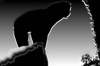 LA NAISSANCE D'EVE - 9