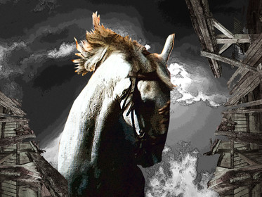 KAFKA,  GRAND CHEVAL  1