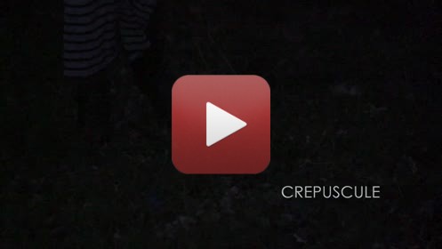 CREPUSCULEréalisation : Denise et Claude Jeanmartmusique : Hélène Sage03 - 2020FILMS DES CONFINSPendant la période de confinement (virus Covid -19 ), impossible de continuer les APSARAS et le dessin en aveugle.Envie d’utiliser toutes les ressources autour de moi, dans la maison, dans le jardin, dans les environs immédiats autorisés, en utilisant la vidéo, à défaut d’autres possibilités. Ce seront donc 20  films de 6 minutes avec des musiques composées spécialement, réalisés entre décembre 2019 et juillet 2020. Un seul thème à la fois traité » picturalement » : pas de scénario écrit, pas de croquis, mais l’œil aux aguets, prises de vues au fur et à mesure de l’émergence des idées, montage direct, et retour fréquent à de nouvelles prises de vue. Multiples versions pour parvenir au résultat final, transmis aux musiciens, qui ont travaillé de la même façon. Sur le site impossible de présenter la totalité des films ni chacun dans son entière durée. Ce sont donc à chaque fois, des réductions à 3 minutes environ.A plusieurs reprises je me suis heurté aux limites de la puissance de mes ordinateurs, j’ai donc renoncé à certains effets pour en inventer d’autres.Ce travail a été très enrichissant, et assez euphorisant.