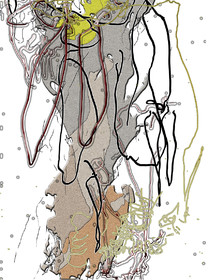 05- CAR - REPLIQUE AGILE -BAS