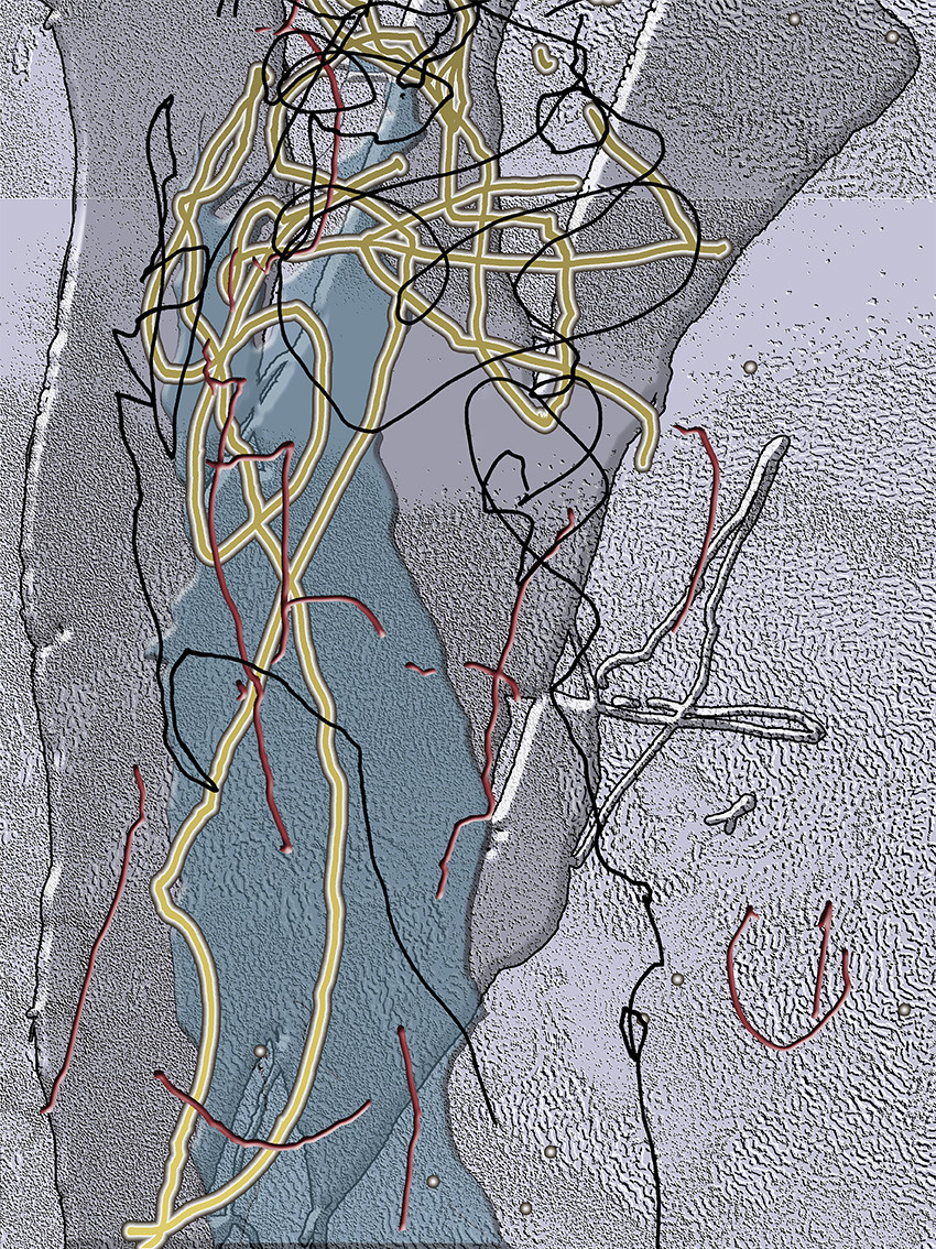 MJ__CL_-_FACE   01-2015   BAS