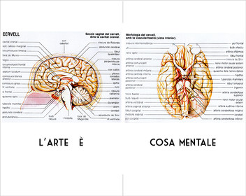 AMBILOGUE IMAGENES 07-08.jpg