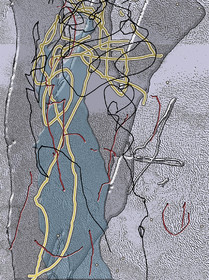 MJ__CL_-_FACE   01-2015   BAS