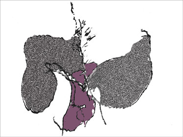 37- OD  CL - SEXE DOS 2