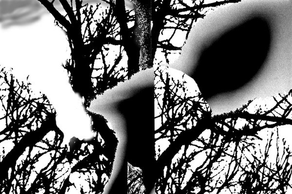 LA NAISSANCE D'EVE - 12