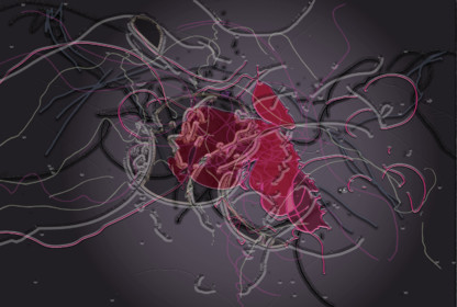 61- CL  MAG - GPMPV - SEXE