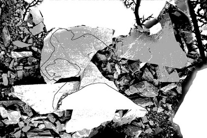 LA NAISSANCE D'EVE - 19