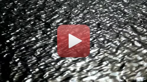 MIROITEMENTSréalisation : Claude Jeanmartmusique : Hélène Sage 03 - 2020FILMS DES CONFINSPendant la période de confinement (virus Covid -19 ), impossible de continuer les APSARAS et le dessin en aveugle.Envie d’utiliser toutes les ressources autour de moi, dans la maison, dans le jardin, dans les environs immédiats autorisés, en utilisant la vidéo, à défaut d’autres possibilités. Ce seront donc 20  films de 6 minutes avec des musiques composées spécialement, réalisés entre décembre 2019 et juillet 2020. Un seul thème à la fois traité » picturalement » : pas de scénario écrit, pas de croquis, mais l’œil aux aguets, prises de vues au fur et à mesure de l’émergence des idées, montage direct, et retour fréquent à de nouvelles prises de vue. Multiples versions pour parvenir au résultat final, transmis aux musiciens, qui ont travaillé de la même façon. Sur le site impossible de présenter la totalité des films ni chacun dans son entière durée. Ce sont donc à chaque fois, des réductions à 3 minutes environ.A plusieurs reprises je me suis heurté aux limites de la puissance de mes ordinateurs, j’ai donc renoncé à certains effets pour en inventer d’autres.Ce travail a été très enrichissant, et assez euphorisant.