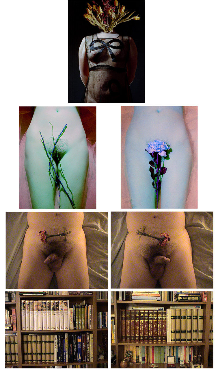 PARALLÉLISME - VOILÉ DÉVOILÉ55