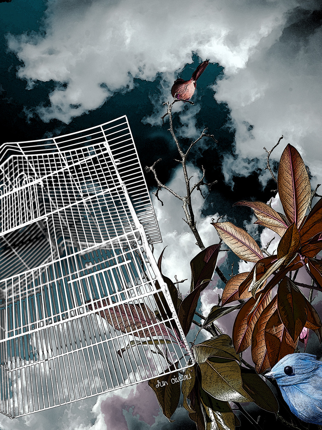 CAGE ET OISEAU 6.jpg
