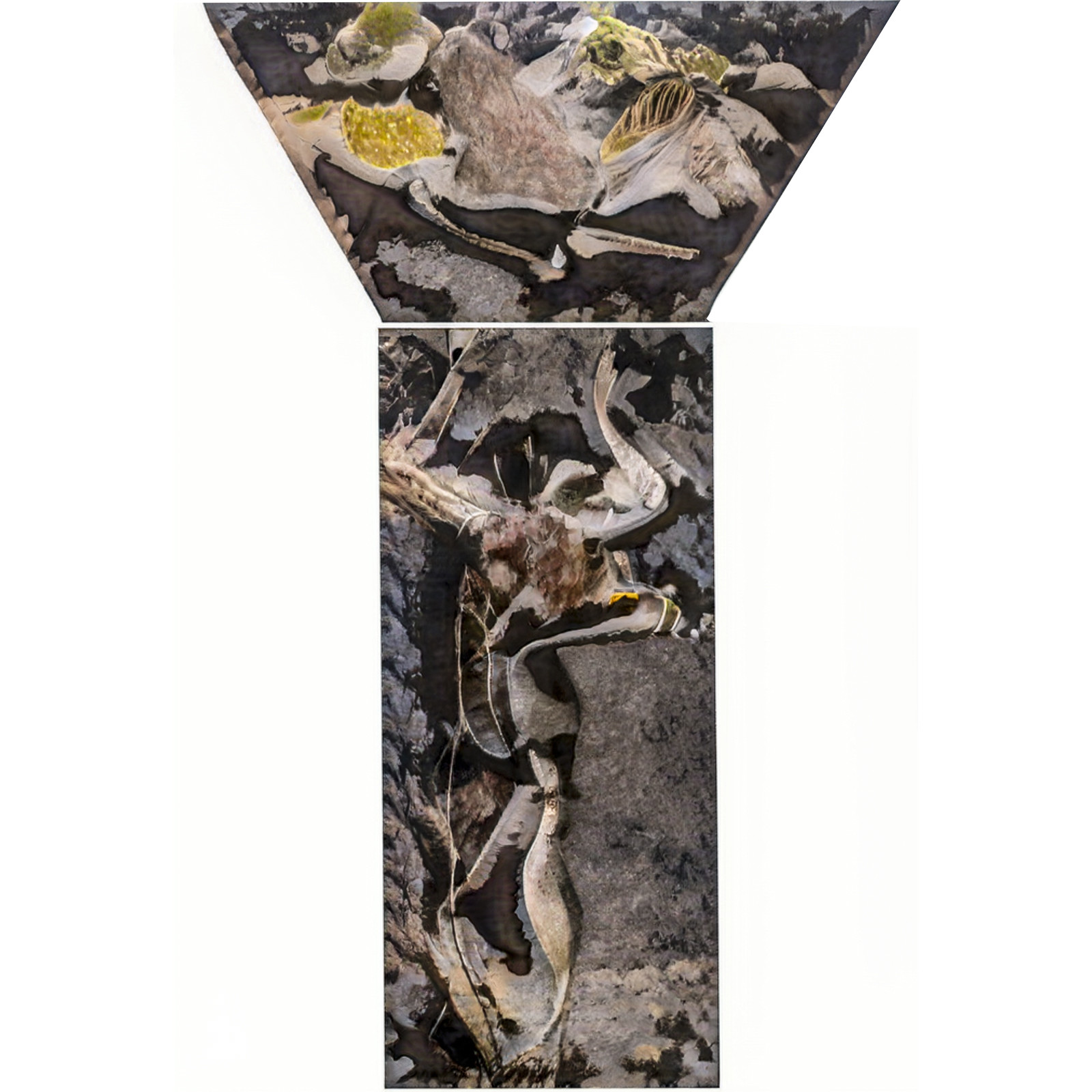 027-couple-colonne-en-echo-neuronal.