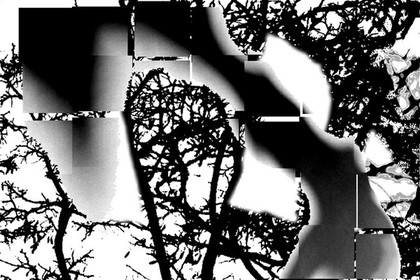 LA NAISSANCE D'EVE - 14