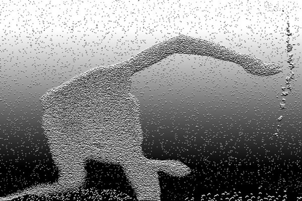 LA NAISSANCE D'EVE - 2