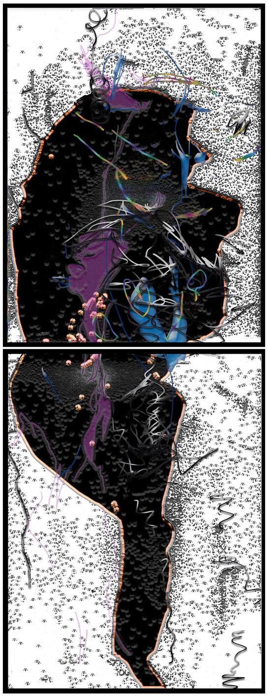 20 - AM  CL - REPLIQUE AGILE