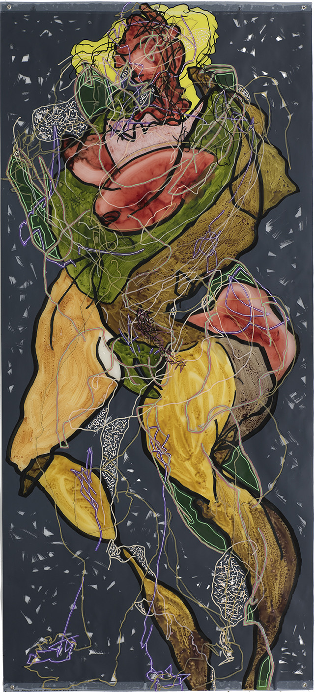 CL  B L -GEANTE AGILE n° 11