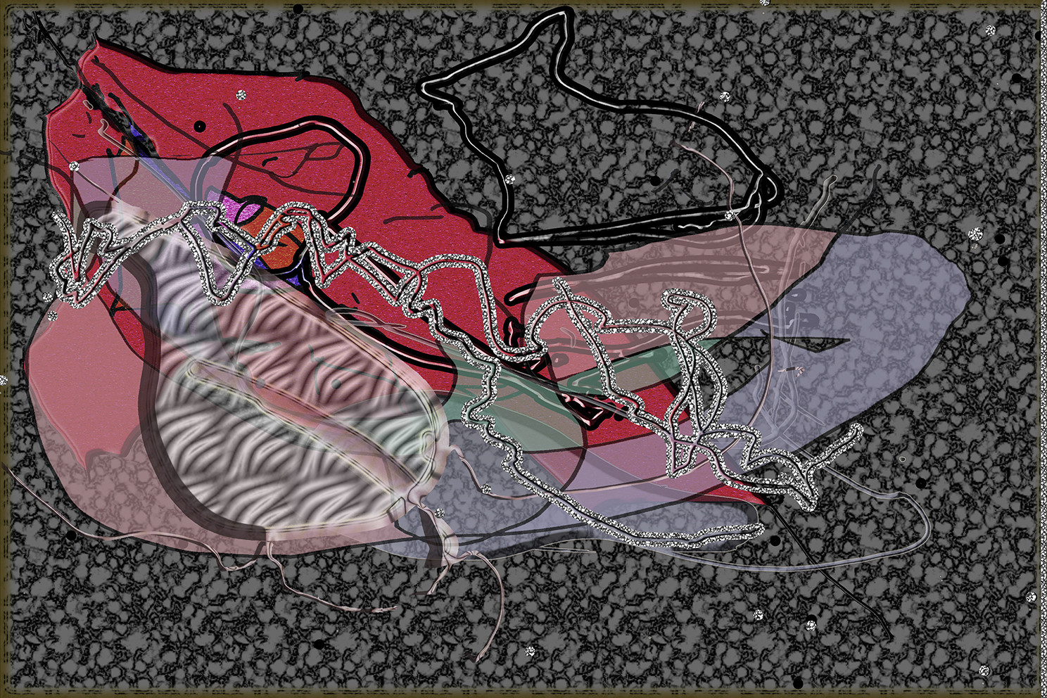43- DE  CL - GÉANTE AGILE- SEXE