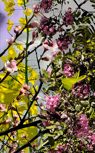 PRINTEMPS PAGE-07.jpg