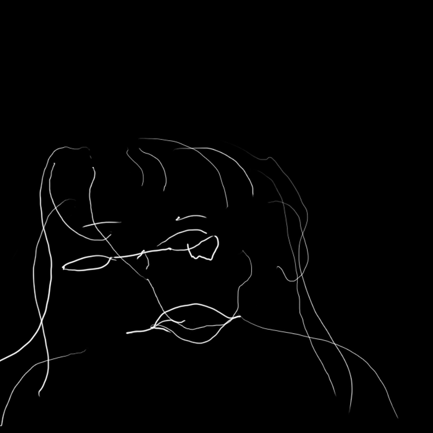 Portrait réalisé les yeux bandés, par CHARLY, élève ingénieus de l'INSA, de Toulouse.Janvier 2010