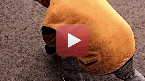 QUOTIDIEN SURPRENANT extrait