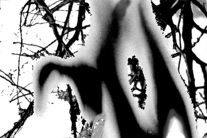 LA NAISSANCE D'EVE - 11