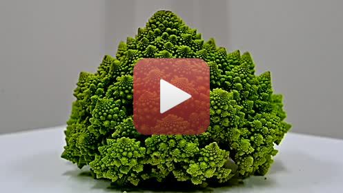 ROMANESCOréalisation : Claude Jeanmartmusique : Hélène Sage02 - 2020FILMS DES CONFINSPendant la période de confinement (virus Covid -19 ), impossible de continuer les APSARAS et le dessin en aveugle.Envie d’utiliser toutes les ressources autour de moi, dans la maison, dans le jardin, dans les environs immédiats autorisés, en utilisant la vidéo, à défaut d’autres possibilités. Ce seront donc 20  films de 6 minutes avec des musiques composées spécialement, réalisés entre décembre 2019 et juillet 2020. Un seul thème à la fois traité » picturalement » : pas de scénario écrit, pas de croquis, mais l’œil aux aguets, prises de vues au fur et à mesure de l’émergence des idées, montage direct, et retour fréquent à de nouvelles prises de vue. Multiples versions pour parvenir au résultat final, transmis aux musiciens, qui ont travaillé de la même façon. Sur le site impossible de présenter la totalité des films ni chacun dans son entière durée. Ce sont donc à chaque fois, des réductions à 3 minutes environ.A plusieurs reprises je me suis heurté aux limites de la puissance de mes ordinateurs, j’ai donc renoncé à certains effets pour en inventer d’autres.Ce travail a été très enrichissant, et assez euphorisant.