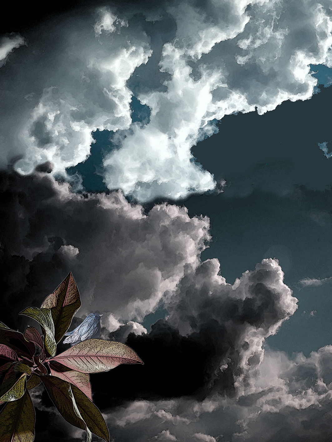 CAGE ET OISEAU 2.jpg